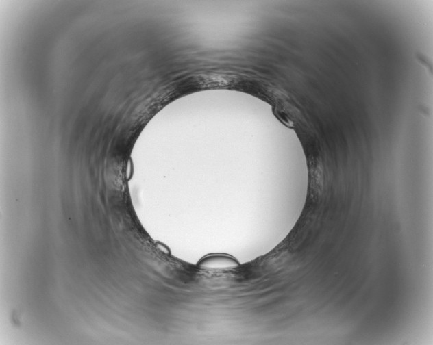 X0000099400331200805291215