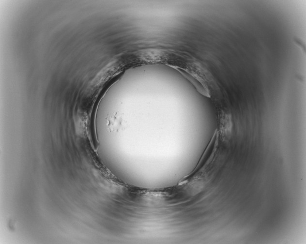 X0000099400332200805291215