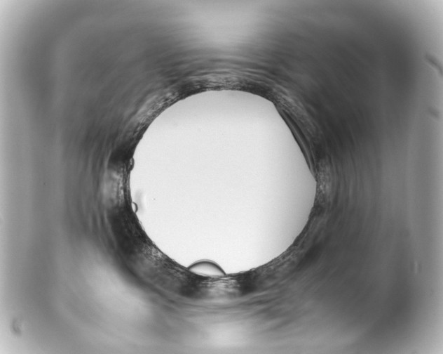 X0000099400333200805291215