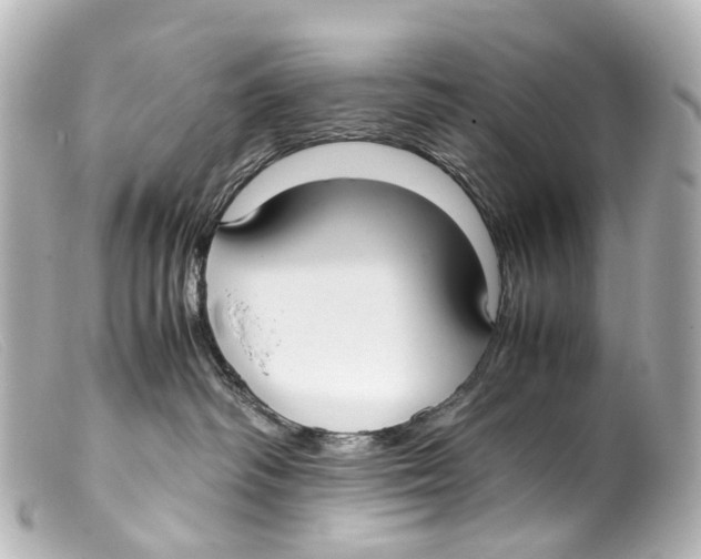 X0000099400334200805291215