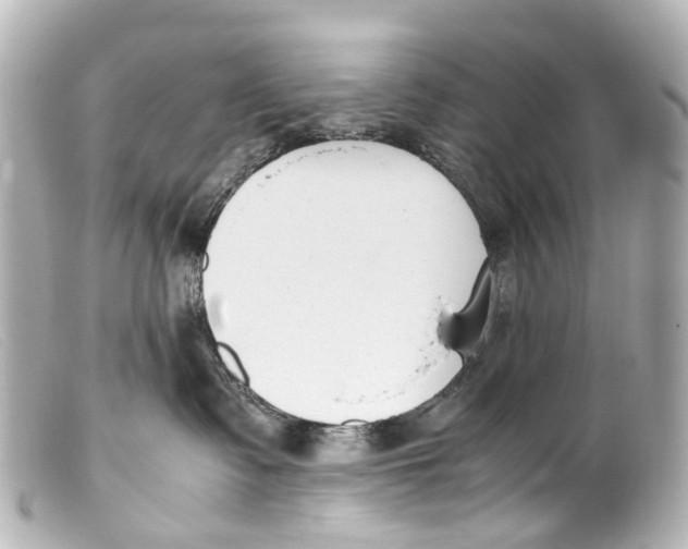 X0000099400335200805291215