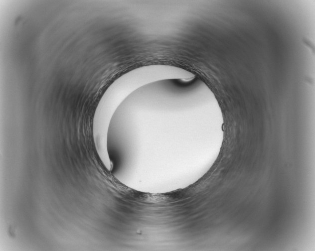 X0000099400336200805291215