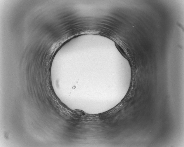 X0000099400337200805291214