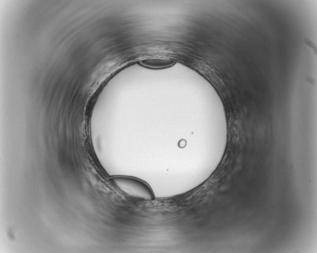 X0000099400338200805291214