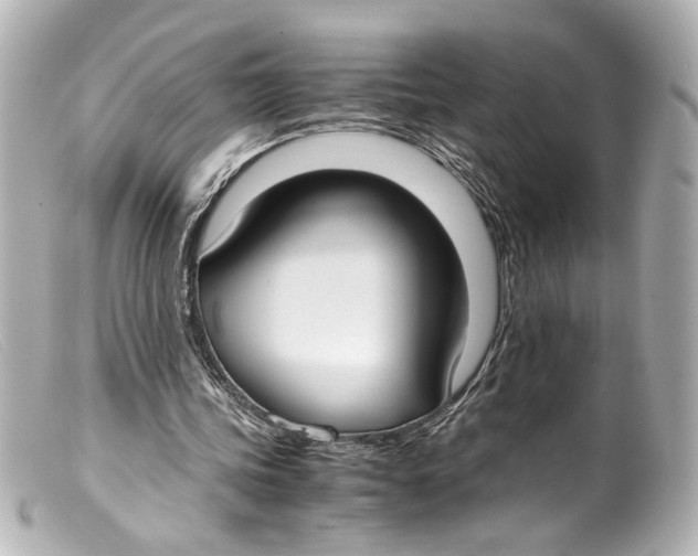 X0000099400339200805291214