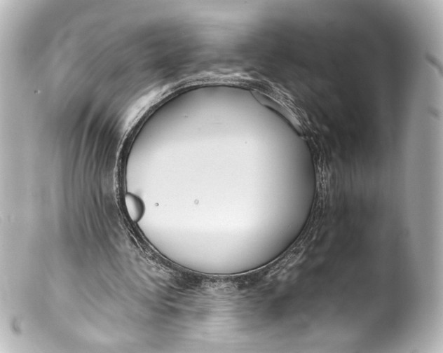 X0000099400340200805291214