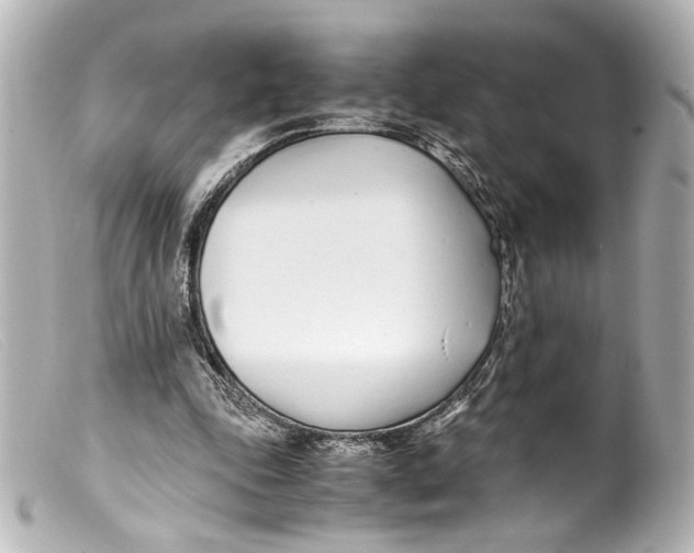 X0000099400343200805291214