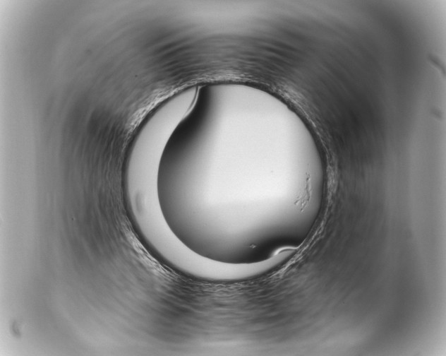 X0000099400345200805291214