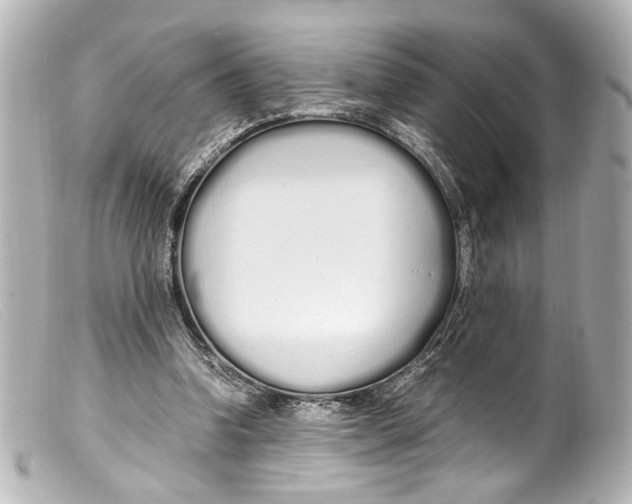 X0000099400346200805291214