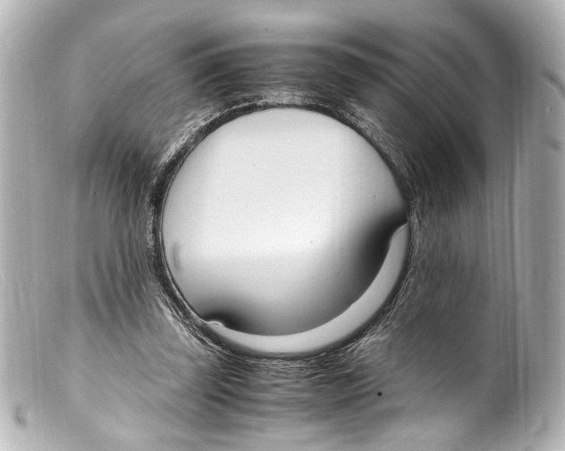 X0000099400347200805291214