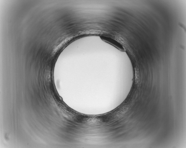 X0000099400348200805291214