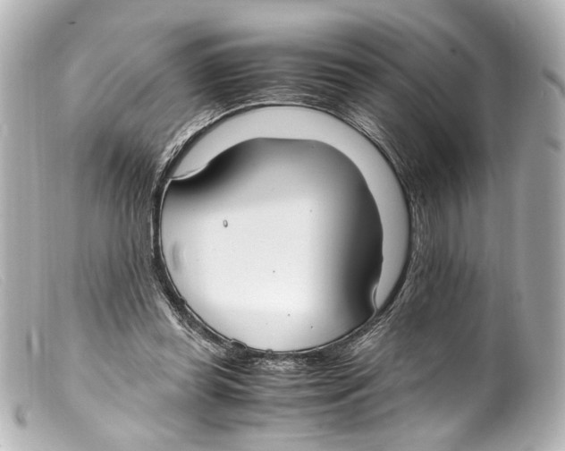 X0000099400349200805291214