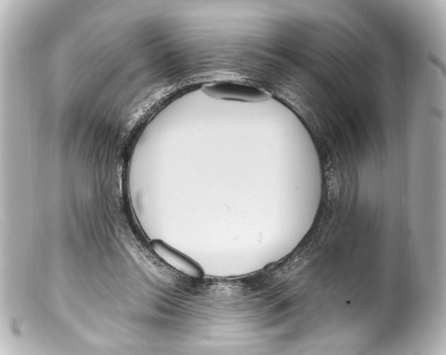 X0000099400350200805291214