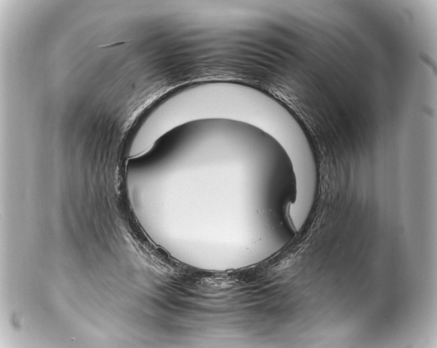 X0000099400351200805291214