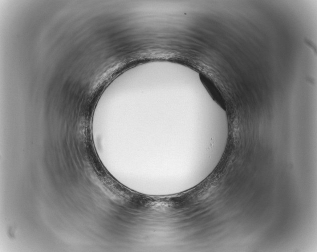 X0000099400352200805291214