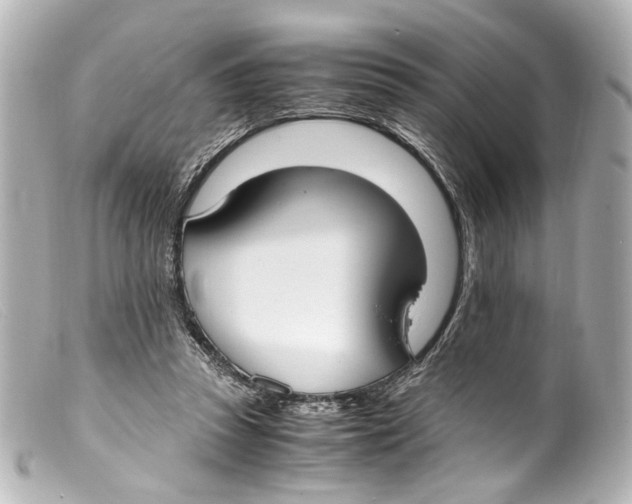 X0000099400353200805291215