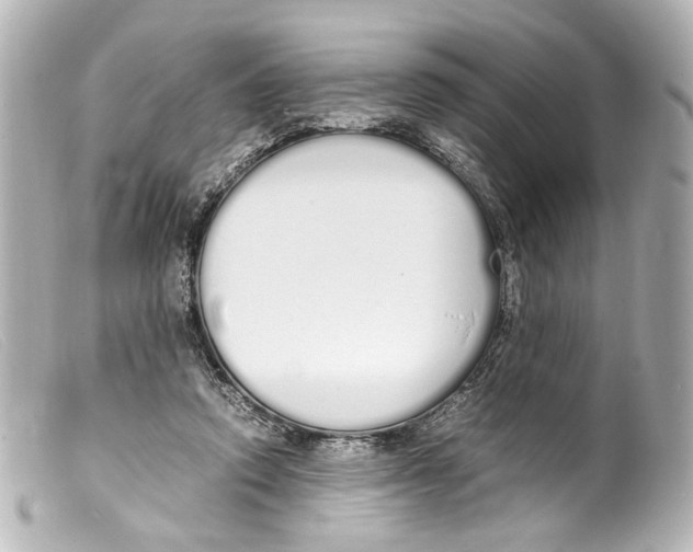 X0000099400354200805291215