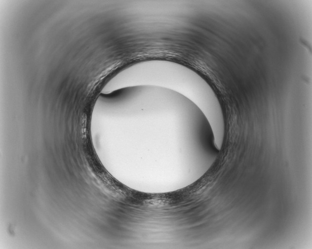 X0000099400356200805291215