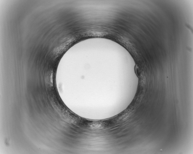 X0000099400358200805291215