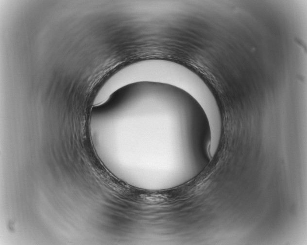 X0000099400359200805291215