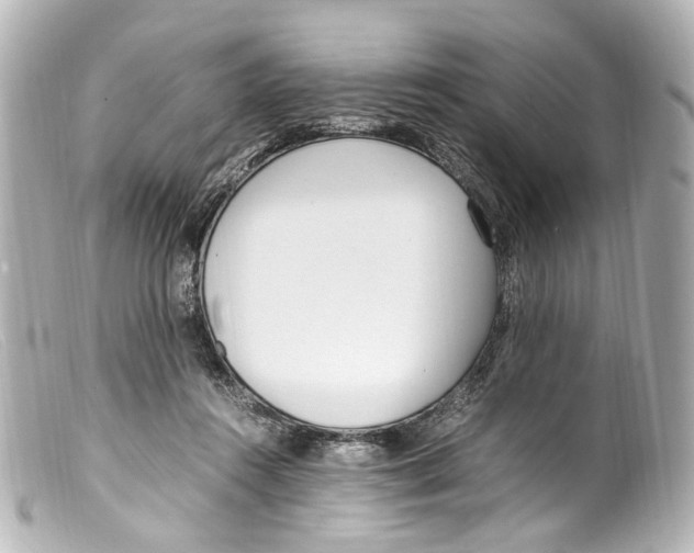 X0000099400360200805291215