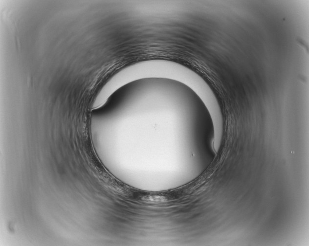 X0000099400361200805291215