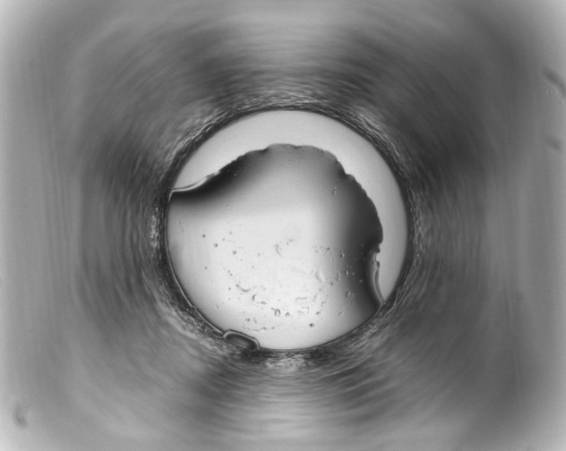 X0000099400362200805291215