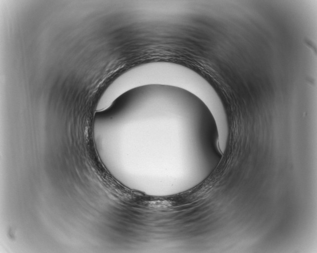 X0000099400363200805291215