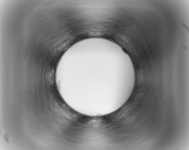 X0000099400364200805291215