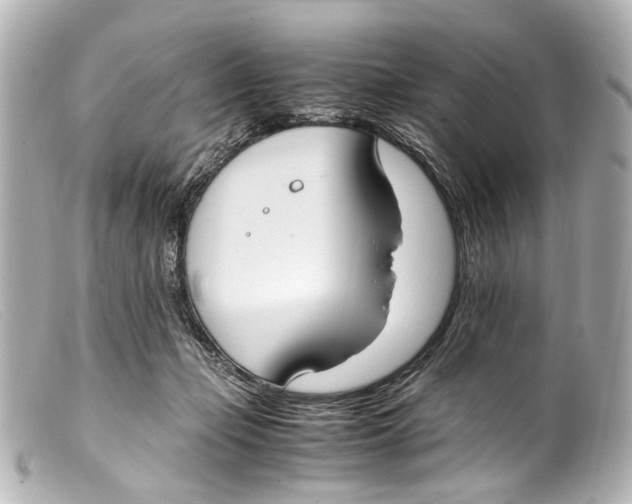 X0000099400365200805291215