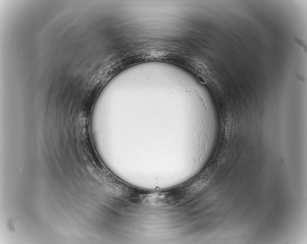 X0000099400366200805291215