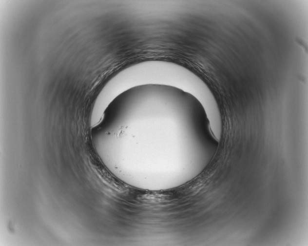 X0000099400367200805291215