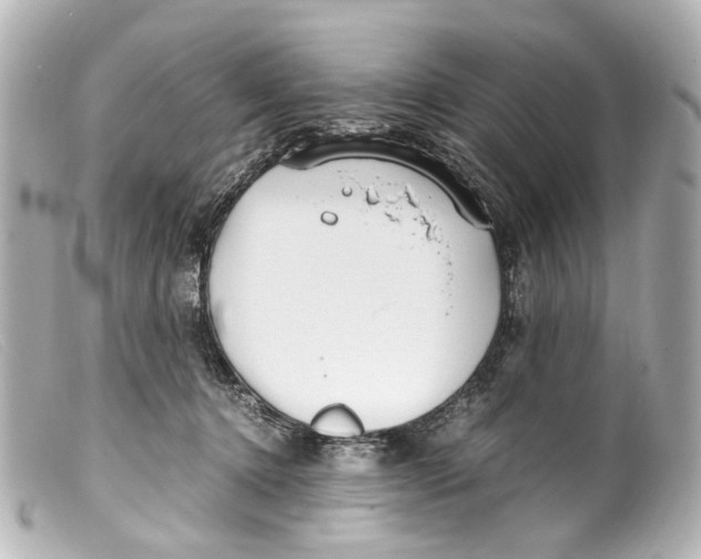 X0000099400368200805291215