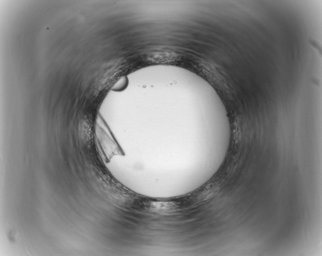 X0000099400371200805291215