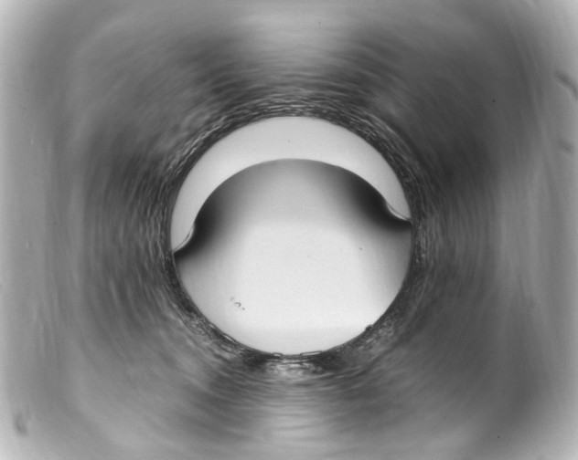 X0000099400372200805291215