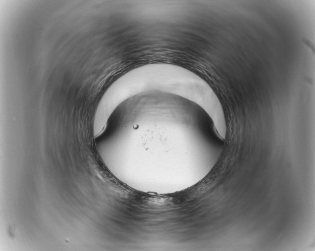 X0000099400375200805291215