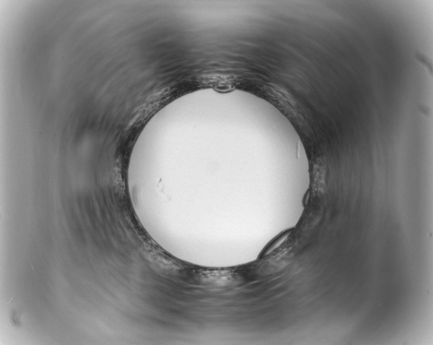 X0000099400377200805291215