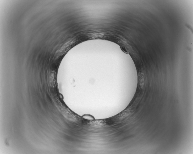 X0000099400378200805291215