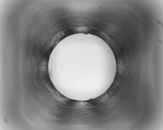 X0000099400379200805291215