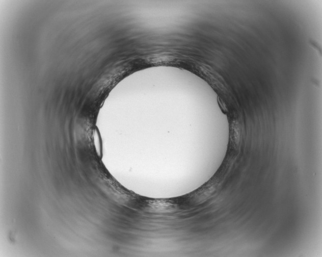 X0000099400380200805291215