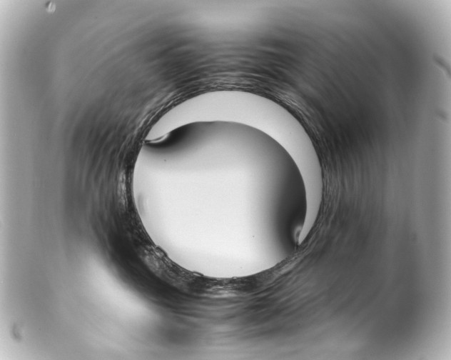 X0000099400381200805291215