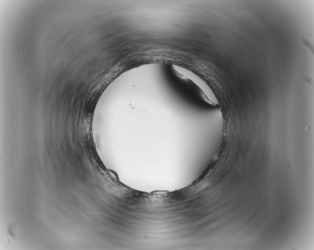 X0000099400382200805291215