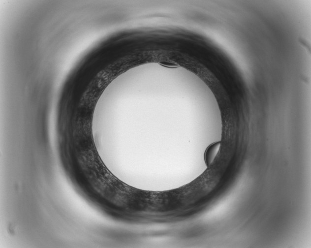 X0000099400383200805291215