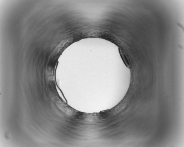 X0000099400384200805291215