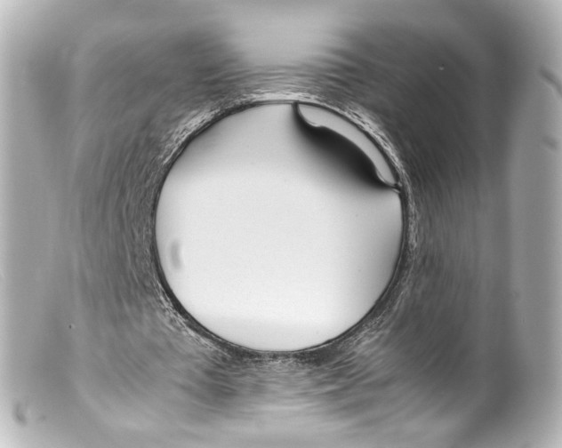 X0000099400385200805291214