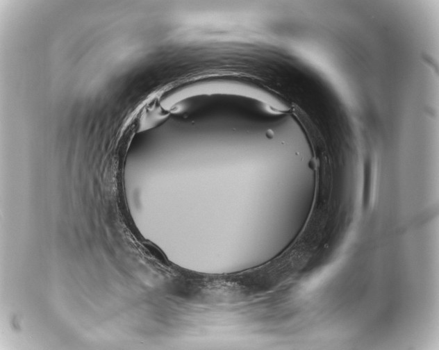 X0000099400387200805291214