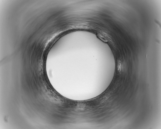 X0000099400388200805291214