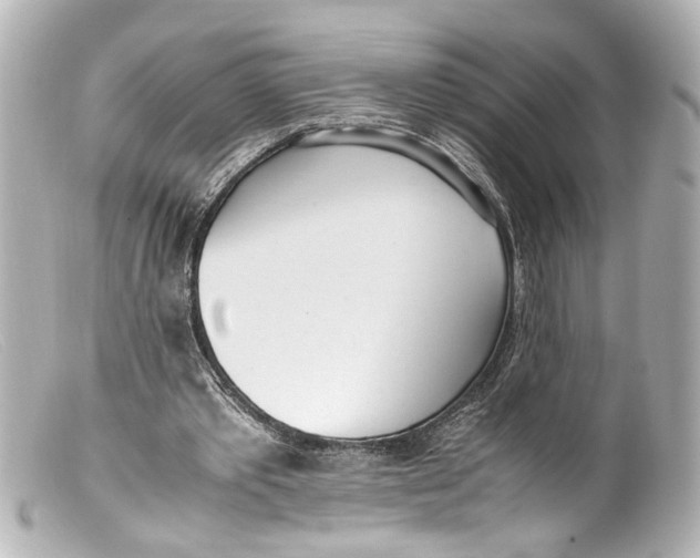 X0000099400389200805291214