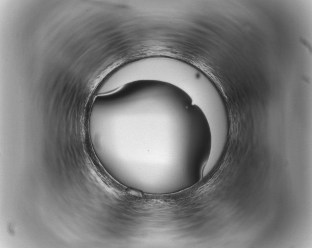 X0000099400390200805291214