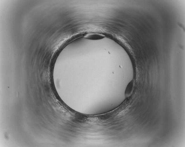 X0000099400391200805291214